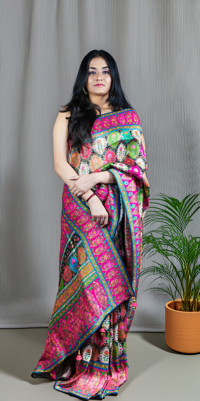 Kashmiri Kani Silk Saree |Meenakari Floral Paisley